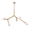 Et2 Blossom 5-Light Pendant E32795-93NAB - alternate 1